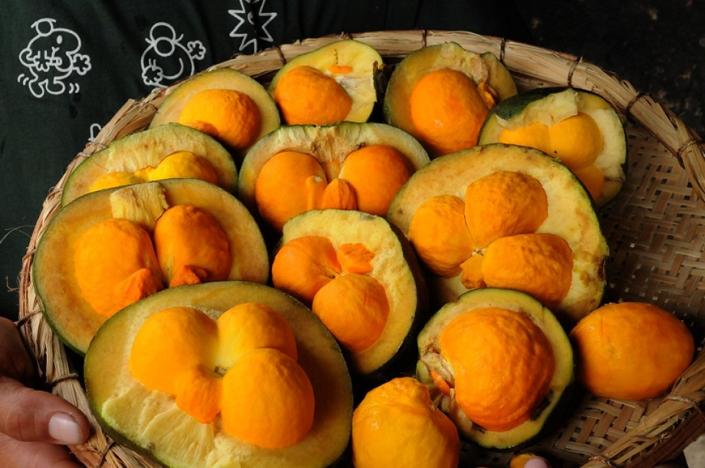 Conab pesquisa custos de produção de produtos tÃpicos em Minas e na Bahia Conab pesquisa custos de produção de produtos tÃpicos em Minas e na Bahia