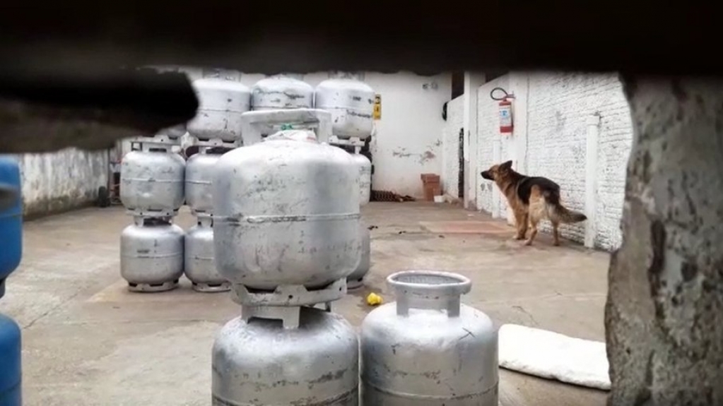 Menino de 1 ano e 3 meses é morto por ataque de cães em Rio Claro (SP) Menino de 1 ano e 3 meses é morto por ataque de cães em Rio Claro (SP)