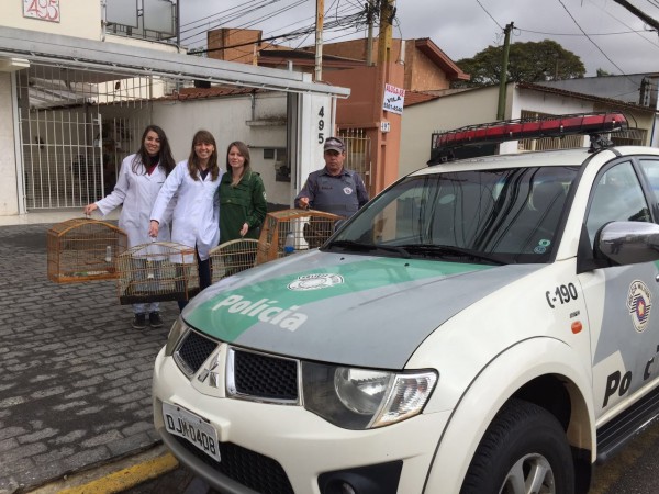 Polícia leva pássaros a São Paulo para cirurgia e faz mais apreensões