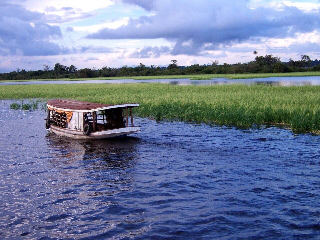 Barco de pescador navega sobre rio na floresta amazônica. Foto: Pixabay