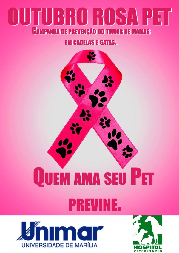 Outubro Rosa Pet – Unimar faz campanha contra câncer em gatas e cadelas