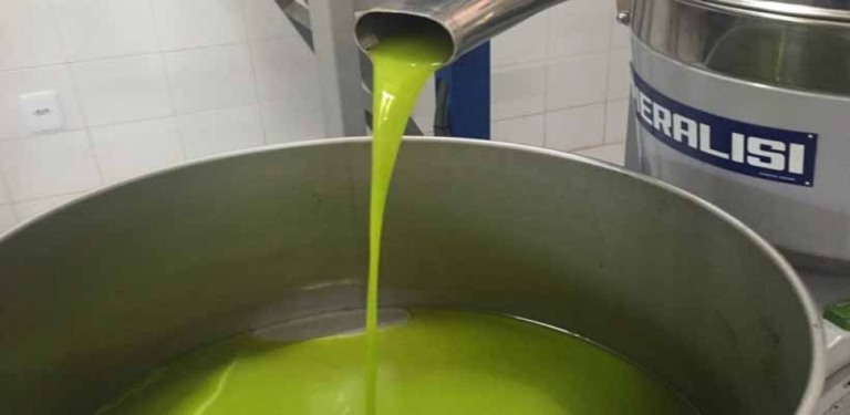 Projeto da Epamig incentiva produção de óleo de abacate em Minas
