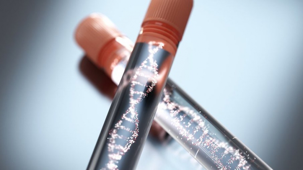 Saúde cancelou compra de 14 milhões de testes de antígeno em 2021