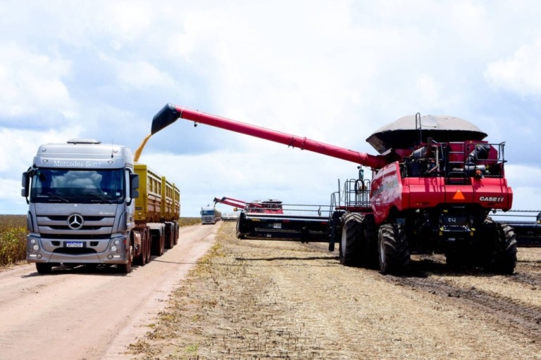 Conab faz leilão de frete para levar milho de Goiás para a Bahia