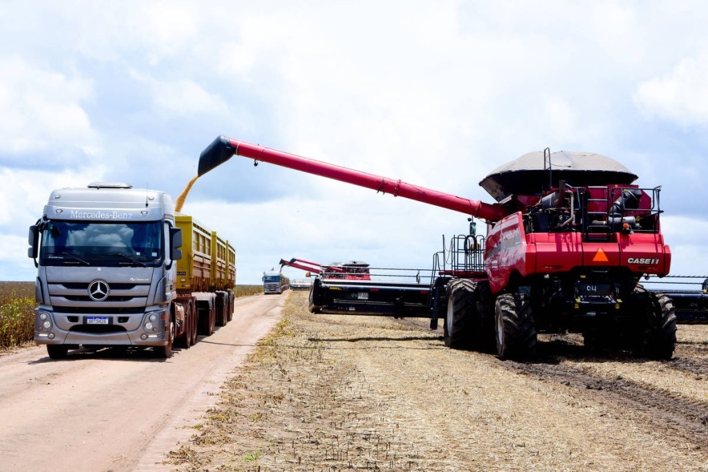 Conab faz leilão de frete para levar milho de Goiás para a Bahia