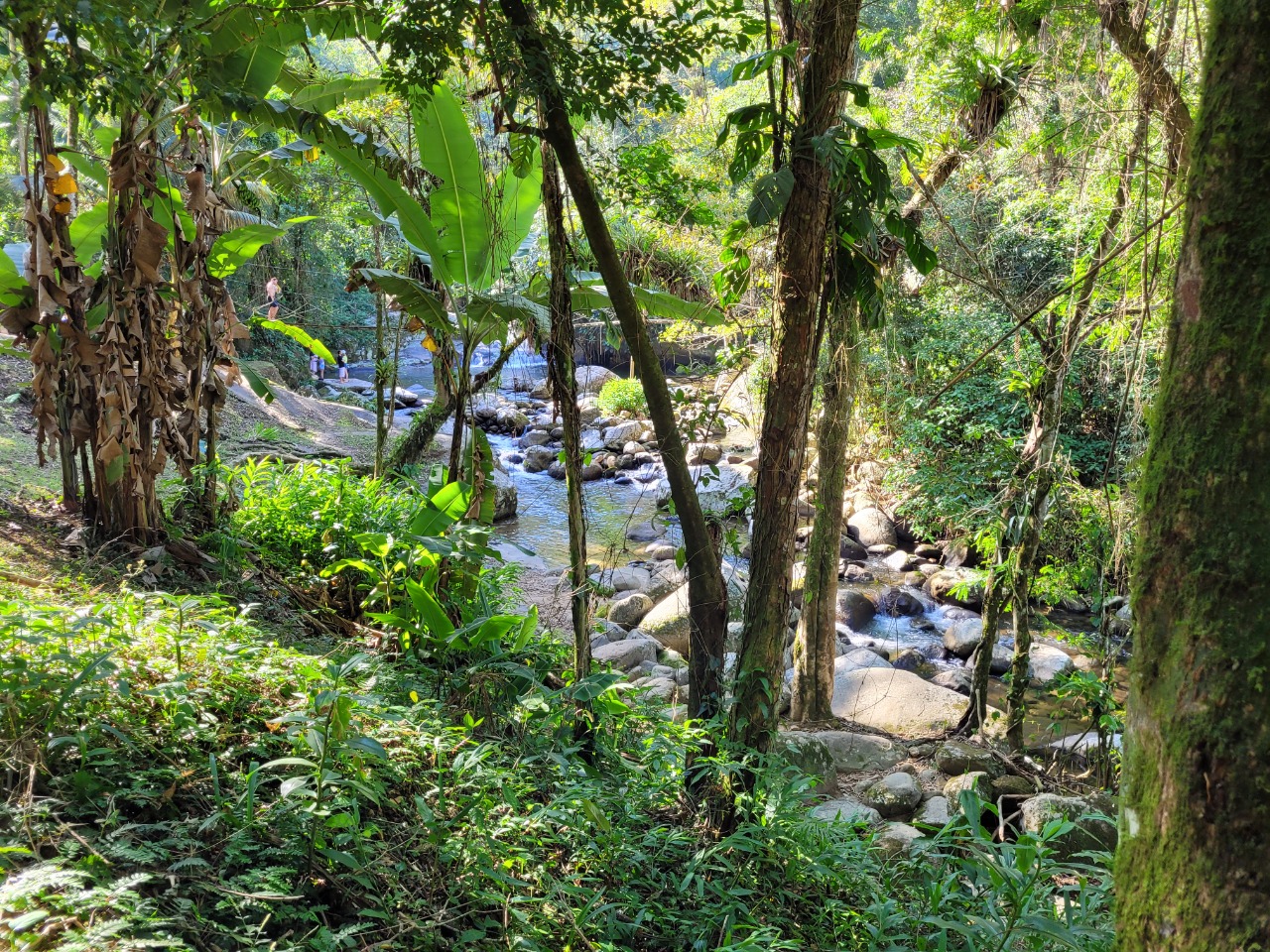 Poço do Tarzan, em Paraty. Foto: Miguel Trombini/iG Turismo