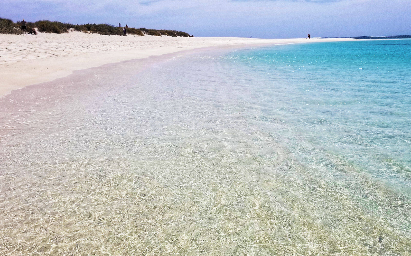 Turistas dizem que é normal que peixes nadem ao redor dos turistas no mar de Turquoise Bay. Foto: World Beach guide