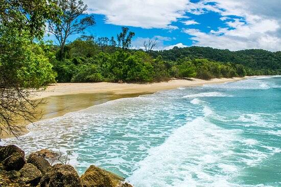 A Praia das Palmas, na Ilha Anchieta, é muito procurada para mergulhos ao lado dos peixes e animais silvestres. Foto: Reprodução/TripAdvisor