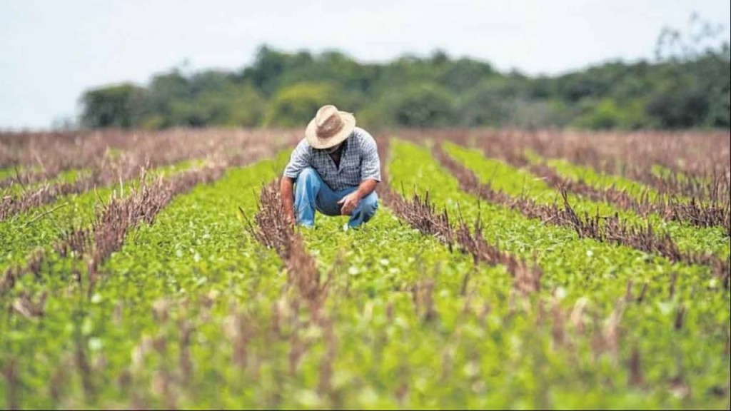 Agronegócio pede mais R$ 500 milhões para o Seguro Rural