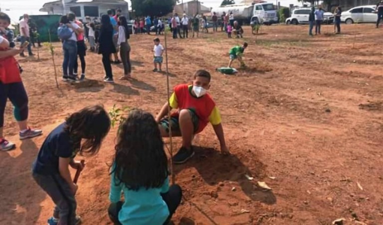 Plantio inicia formação de Bosque dos Ipês na zona norte de Marília