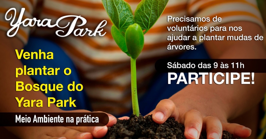 Yara Park chama voluntários para iniciar bosque neste sábado