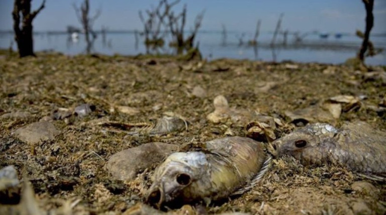 Catástrofes climáticas já geraram prejuízos de US$ 3,8 trilhões ao agronegócio