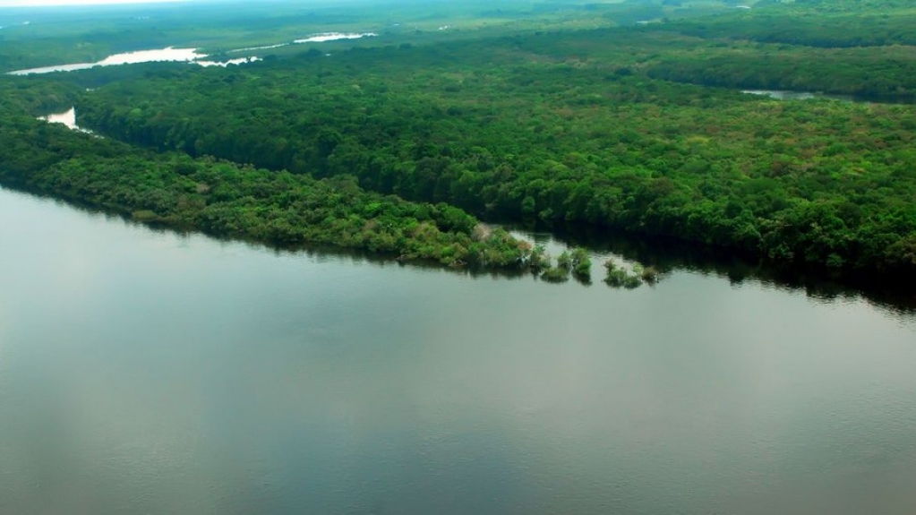 Governo estuda remuneração aos proprietários de terras que preservarem florestas Governo estuda remuneração aos proprietários de terras que preservarem florestas