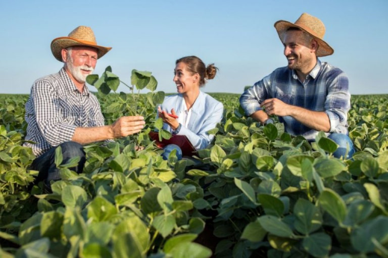 91,8% dos produtores rurais do Brasil seguem critérios ambientais, sociais e de governança