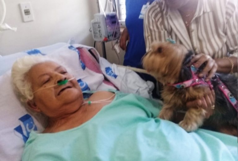Paciente recebe visita de pet no HC e emociona; "ela pode ficar de acompanhante?