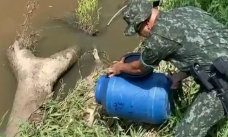 Vídeo - Ambiental liberta jacaré resgatado em chácara de Marilia