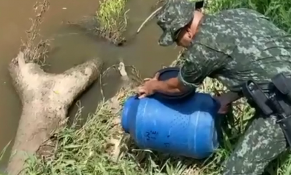 Vídeo - Ambiental liberta jacaré resgatado em chácara de Marilia Vídeo - Ambiental liberta jacaré resgatado em chácara de Marilia
