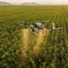 Mercado de drones agrícolas dispara e deve ter novas regras