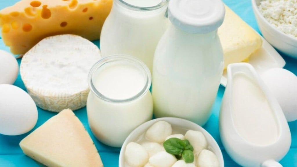 FreePik Alimentos sem lactose: alternativas saudáveis para todos