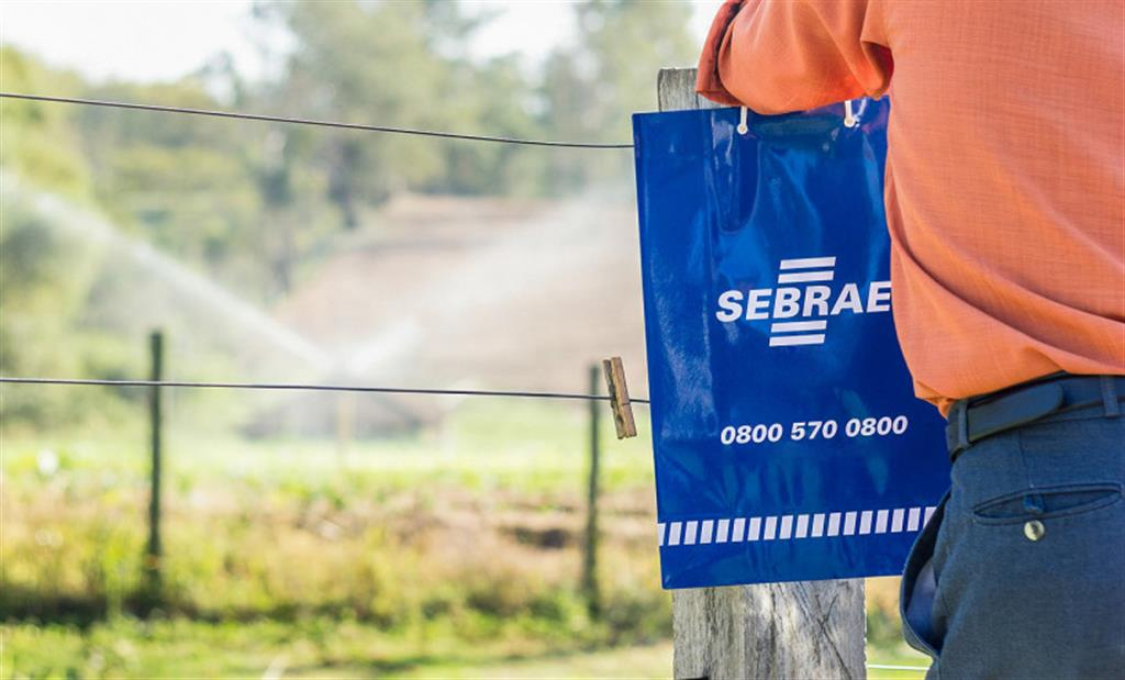 Sebrae abre 120 vagas em Marília para inovação e ampliação de faturamento rural