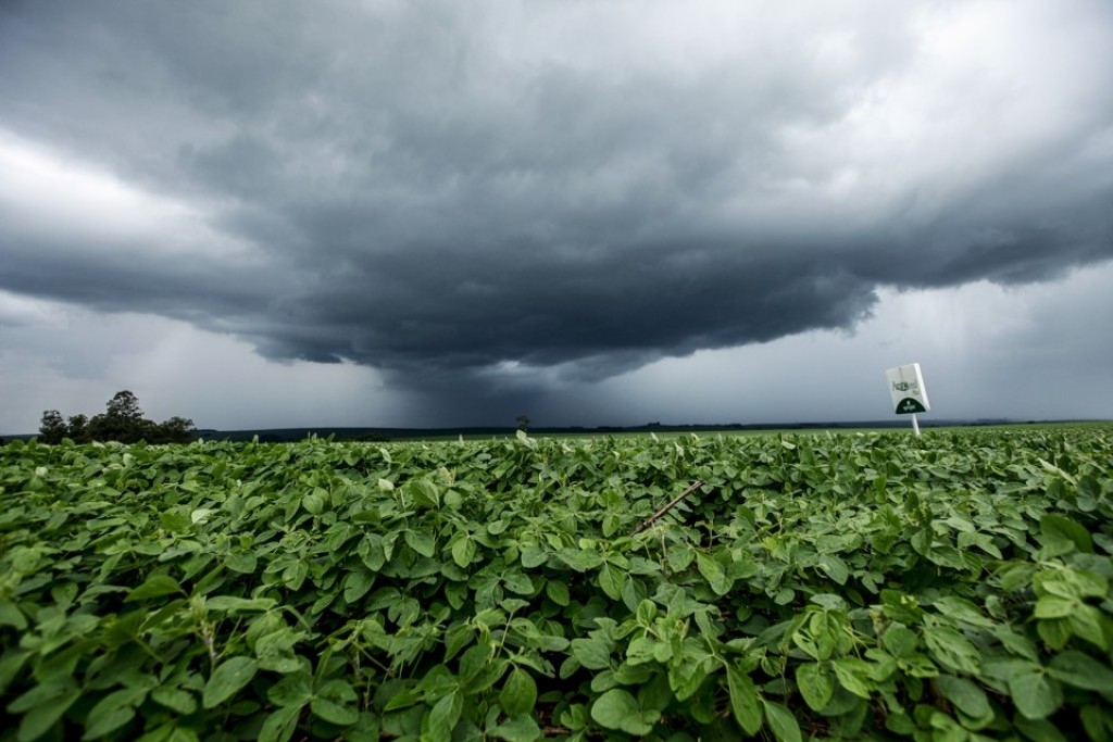 Um Natal chuvoso em grande parte do país, prevê meteorologia