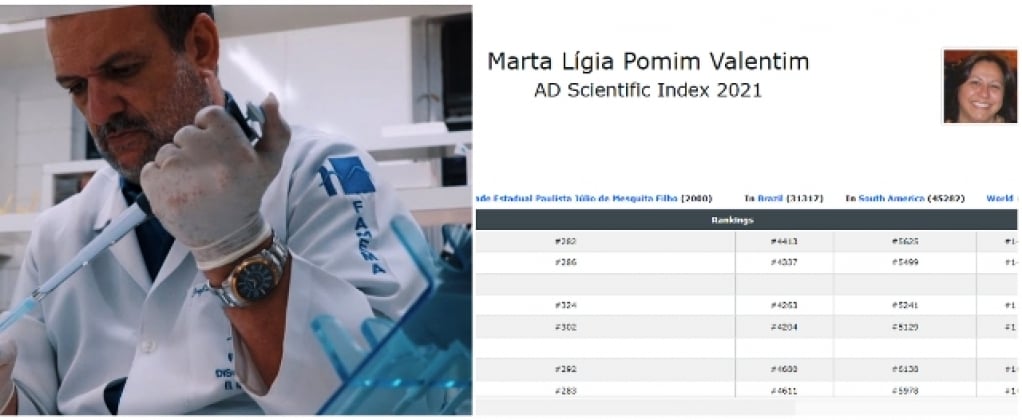 Professores da Famema e Unesp estão entre 10 mil cientistas mais influentes