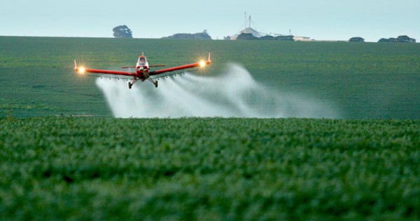 Pesquisa da USP identifica até 283 agrotóxicos em alimentos