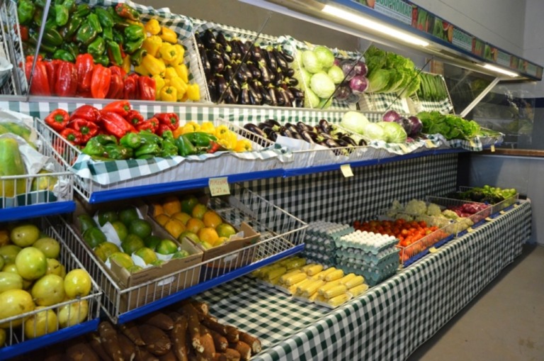 Sindicância investiga Cooperativa e fornecimento para merenda em Marília