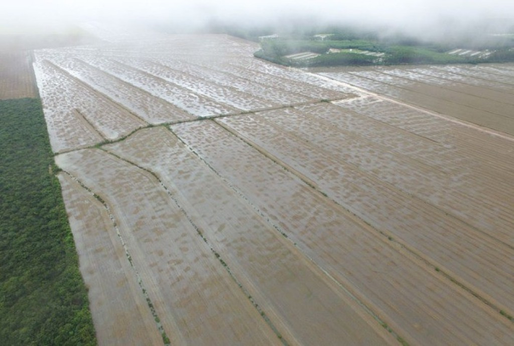 Conab avalia impactos do clima nos cultivos de inverno e verão da safra 2023/2024