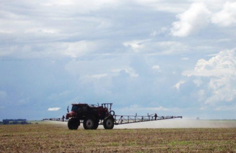 Fumaça da queima da lenha vira aditivo agrícola que reduz custos de produção em até 40%