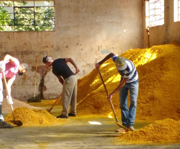 Montes de serragem colorida vão ser usados em decoração – Sônia Cristina Guirado/Divulgação