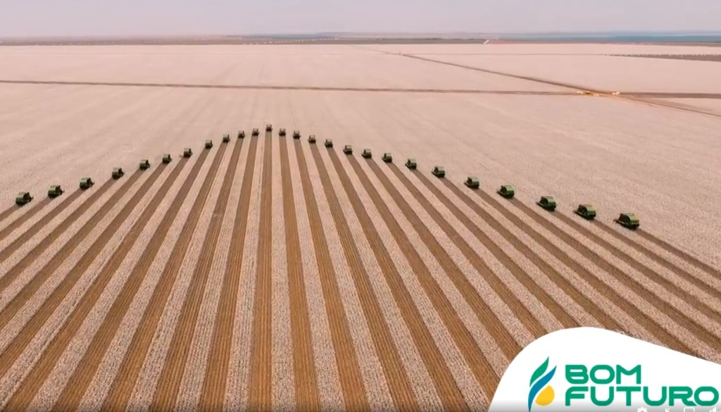 Empresa Bom Futuro é a primeira a exportar soja rastreável, carbono mensurada e livre de desmatamento