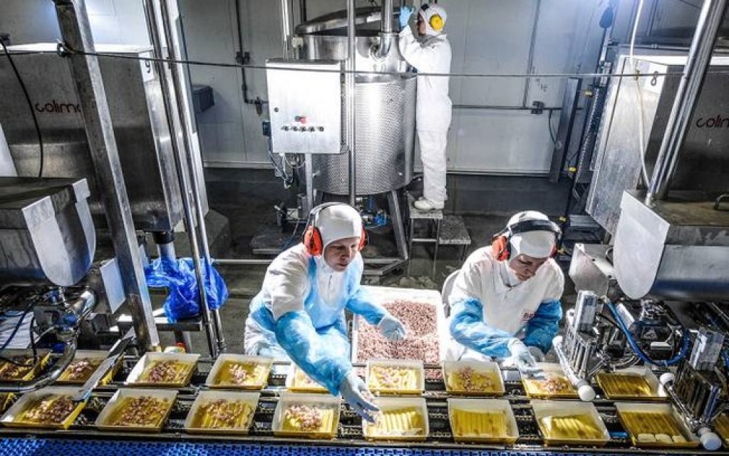 BRF investe US$ 2,5 mi em startup para produzir "churrasco de laboratório"