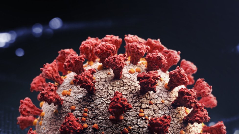 Coronavirus