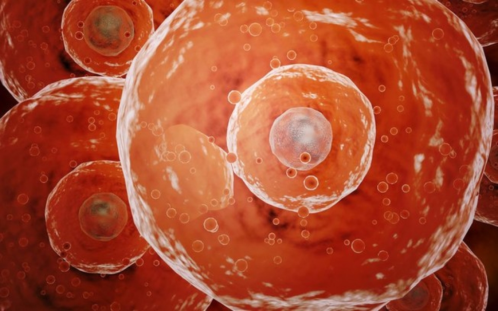 Covid: o que é a 'superimunidade' e como ela protege contra infecções