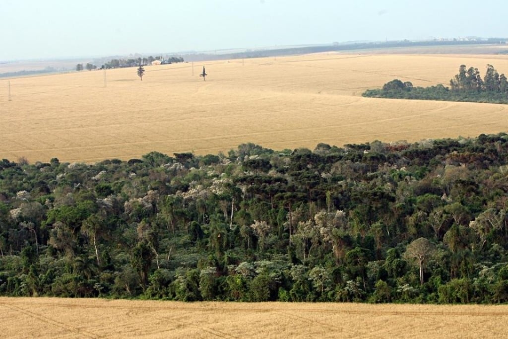 Atenção: prazo de inscrição no Cadastro Ambiental Rural termina dia 31