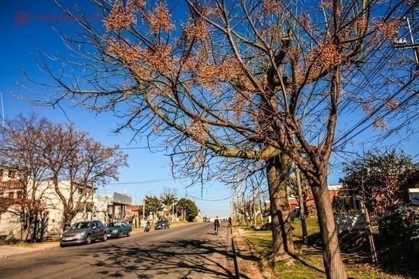 Rua de Montevidéu. Foto: Reprodução. Foto: Reprodução