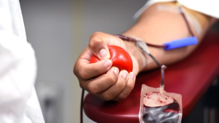 Teste de malária será aplicado em triagem de sangue em hemocentros