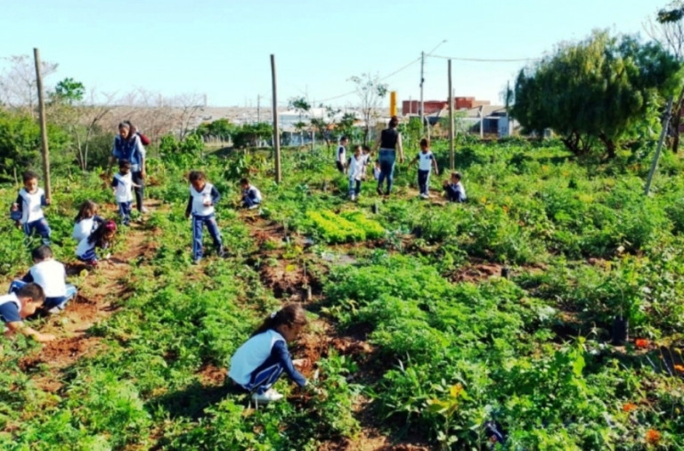 Voluntários, prefeitura e estudantes plantam 683 árvores no Jardim Maracá