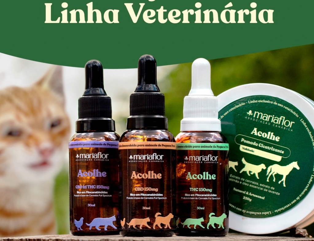 Associação terá imersão sobre uso  veterinário de cannabis em Marília