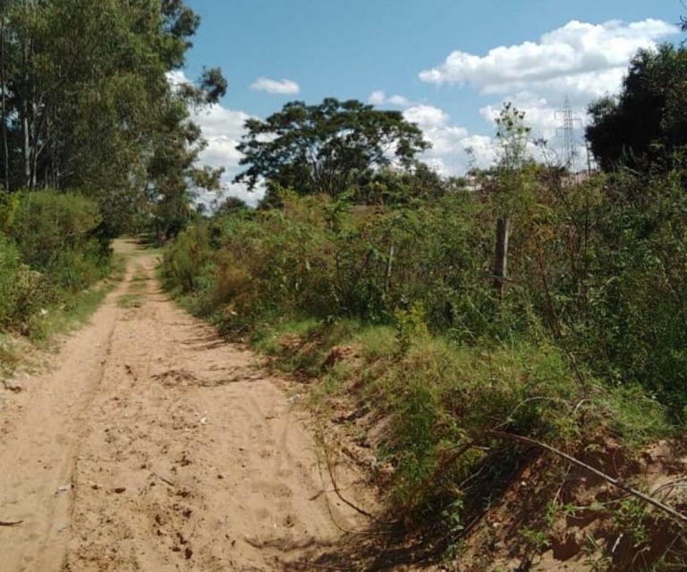 Você no Giro - Moradores criticam abandono de lotes e mato em bairro