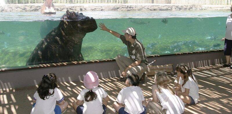 Bioparque Temaikén, em Bunos Aires. Foto: Divulgação. Foto: Divulgação