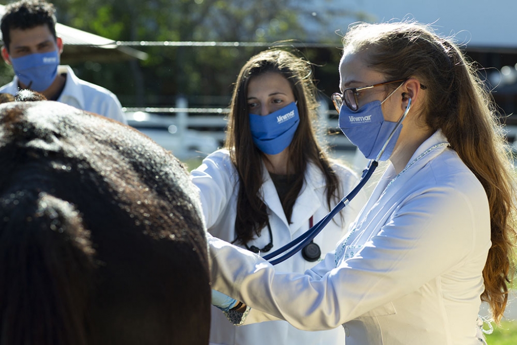 Unimar abre vagas  para Mestrado Profissional em Medicina Veterinária