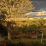 Curso estimula turismo rural pedagógico para atrair estudantes