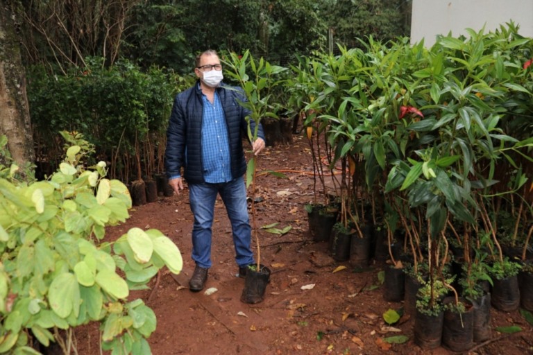 Bosque recebe mil mudas para retirada por moradores em Marília, cartilha orienta