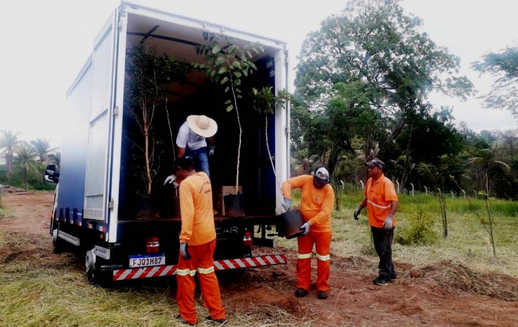 Região de nascente receberá plantio de árvores para recompor flora em Marília