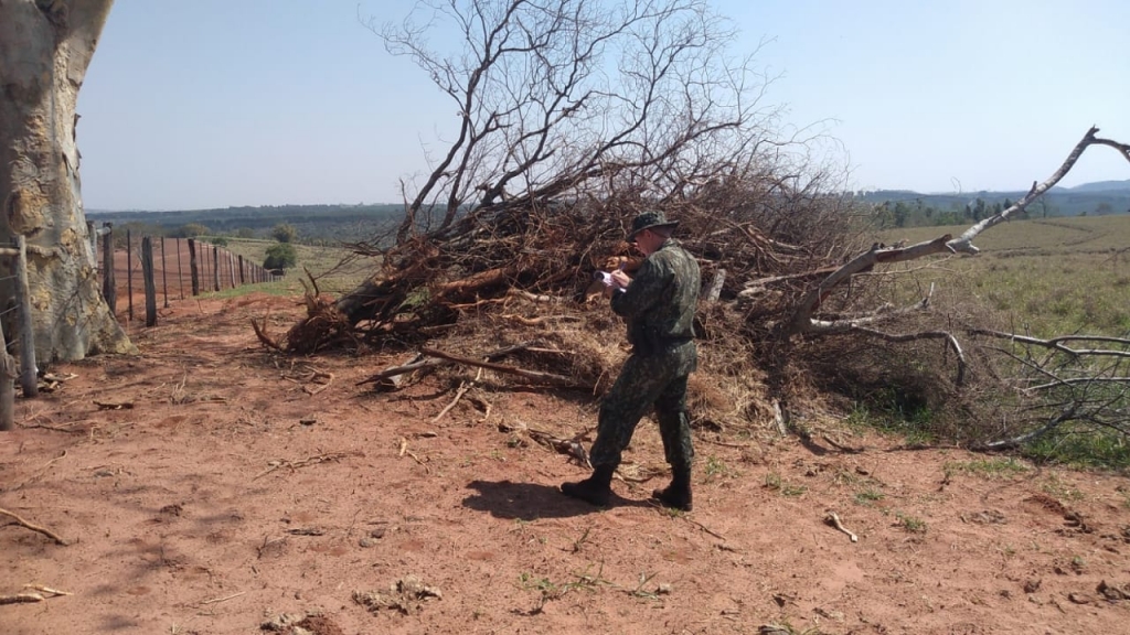 Fazenda de Marília é multada em R$ 17 mil por corte de árvores e danos à vegetação Fazenda de Marília é multada em R$ 17 mil por corte de árvores e danos à vegetação