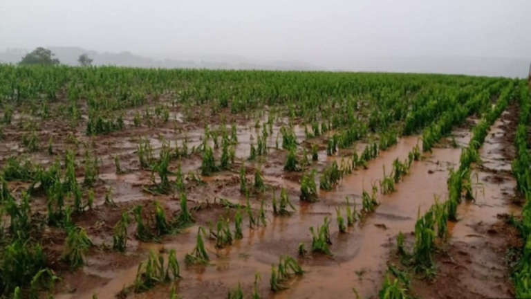 Governo do Paraná faz levantamento dos prejuízos ao agro causados pela chuva que já dura 3 meses