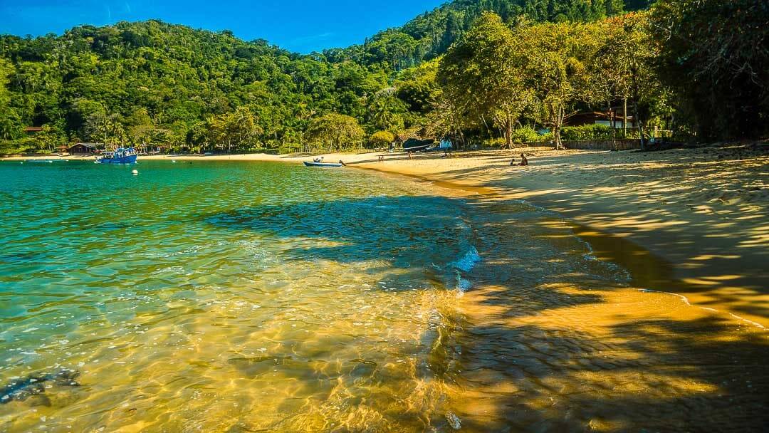 As águas da Praia do Flamengo se mesclam entre esverdeadas e azuis. Foto: Reprodução/Ubatuba Guide