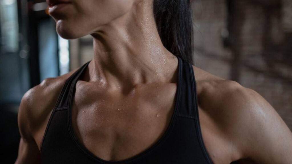 Personare Como enfrentar a Onda de Calor: terapias e cuidados para Corpo, Mente e Emoções